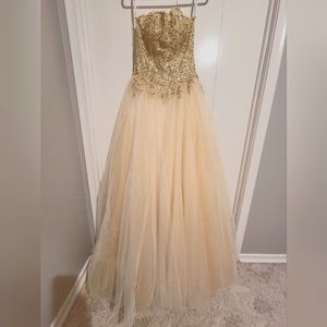 Prom/Wedding Dress